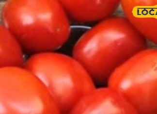 पुरानी चटनी को कहें अलविदा, ट्राई करें ये टमाटर वाली झटपट चटनी, रोटी या दाल-चावल के साथ परोसे