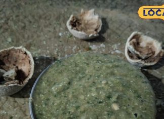 सर्दी में लें बुंदेलखंड की मशहूर कैथा चटनी का स्वाद, मिनटों में तैयार, नोट करें रेसिपी