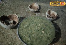 ठंडी में जरूर ट्राई करें ये देसी चटनी, स्वाद ऐसा उंगलियां चाटते रह जाएंगे लोग, यहां देखें बनाने का तरीका