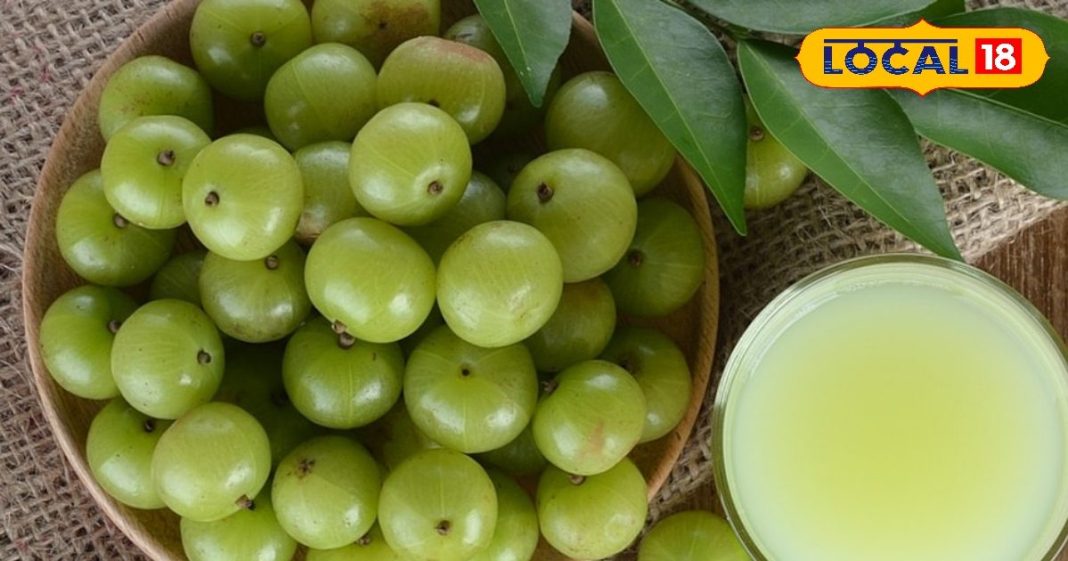 आंवला सर्दी का सुपरफल क्यों? अचार, मुरब्बा, चटनी या कच्चा खाने के अलावा भी हैं गजब फायदे, जानें