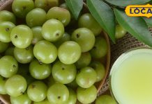 आंवला सर्दी का सुपरफल क्यों? अचार, मुरब्बा, चटनी या कच्चा खाने के अलावा भी हैं गजब फायदे, जानें