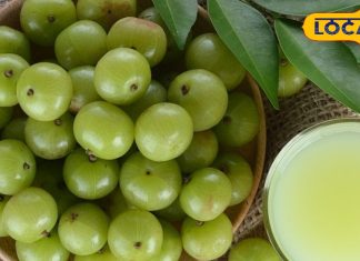 आंवला सर्दी का सुपरफल क्यों? अचार, मुरब्बा, चटनी या कच्चा खाने के अलावा भी हैं गजब फायदे, जानें