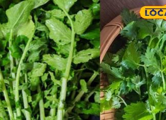 धनिया-मूली के पत्तों में छुपा है सुपर मेडिसिन, जो कर दे शरीर को अंदर से शुद्ध!