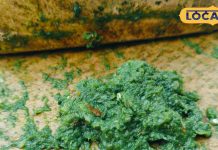 सर्दी में बनाएं ये खास लाजवाब चटनी, मिनटों में तैयार, नोट करें आसान रेसिपी