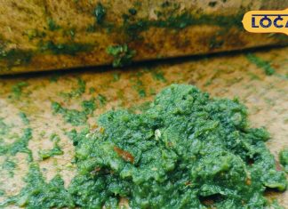 सर्दी में बनाएं ये खास लाजवाब चटनी, मिनटों में तैयार, नोट करें आसान रेसिपी