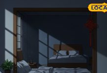 कितना भी कमाओ, हमेशा कम? चेक करें घर में कहां लगा रखा है शीशा, गलत जगह पर इसका होना खतरनाक