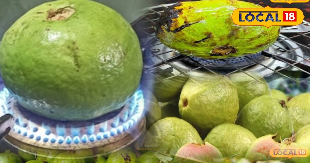 Health Tips: ठंड में क्यों खूब खाना चाहिए भुना हुआ अमरूद? जानें इसके चौंकाने वाले हेल्थ बेनिफिट्स