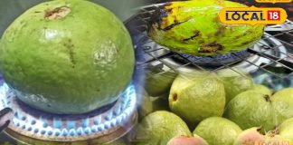 Health Tips: ठंड में क्यों खूब खाना चाहिए भुना हुआ अमरूद? जानें इसके चौंकाने वाले हेल्थ बेनिफिट्स