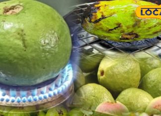 Health Tips: рдардВрдб рдореЗрдВ рдХреНрдпреЛрдВ рдЦреВрдм рдЦрд╛рдирд╛ рдЪрд╛рд╣рд┐рдП рднреБрдирд╛ рд╣реБрдЖ рдЕрдорд░реВрдж? рдЬрд╛рдиреЗрдВ рдЗрд╕рдХреЗ рдЪреМрдВрдХрд╛рдиреЗ рд╡рд╛рд▓реЗ рд╣реЗрд▓реНрде рдмреЗрдирд┐рдлрд┐рдЯреНрд╕