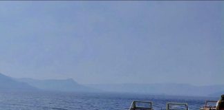 शिमला जैसी ठंड, स्विट्जरलैंड जैसी खूबसूरती! बिहार में सर्दियों का ये है बेस्ट पिकनिक स्पॉट, देखें Photos – Bihar News