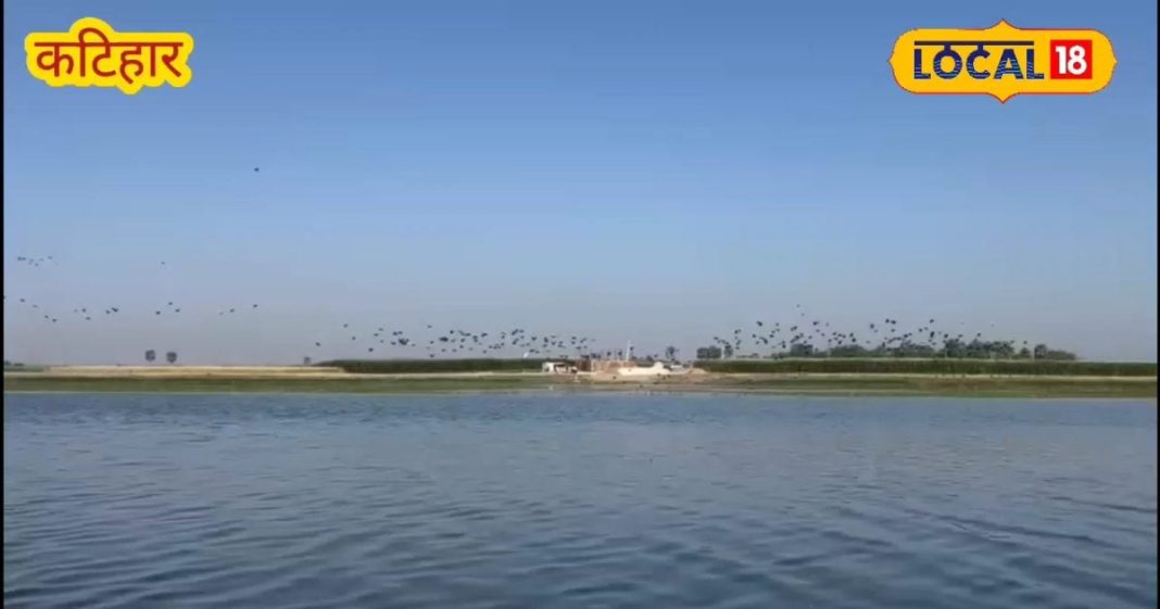 मनिहारी के गोगावील झील को मिला रामसर का दर्जा, इको टूरिज़्म से ग्लोबल होगी कटिहार की पहचान