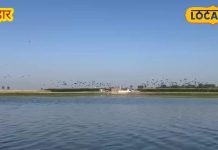 मनिहारी के गोगावील झील को मिला रामसर का दर्जा, इको टूरिज़्म से ग्लोबल होगी कटिहार की पहचान