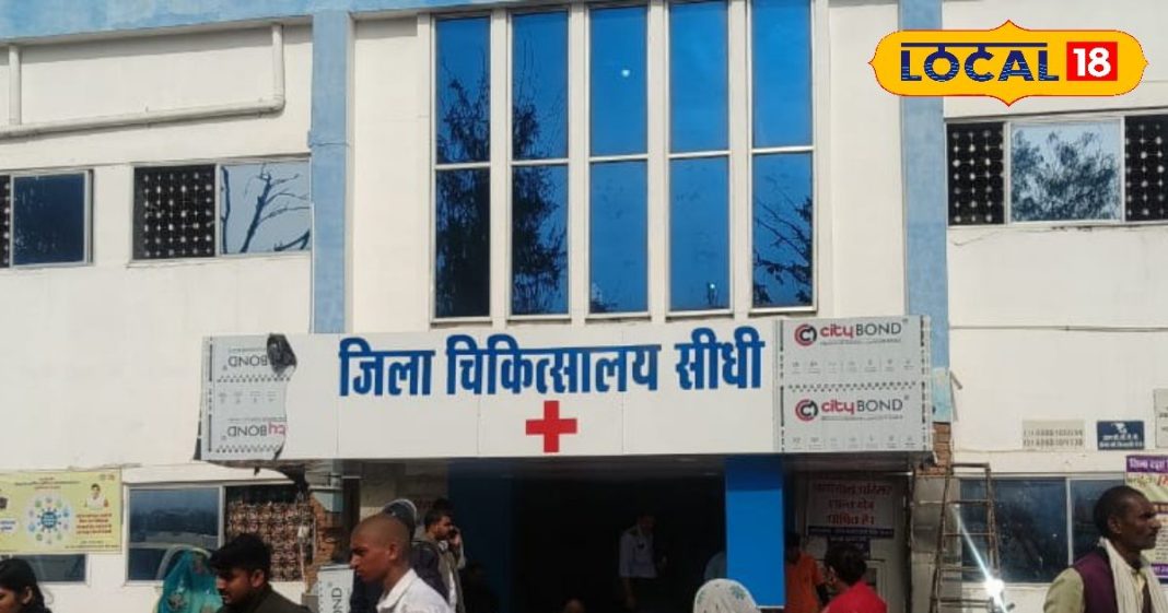 बच्चों के पेट से कीड़े हटाने का देसी तरीका, पलाश-शहद की जोड़ी करेगी कमाल, नहीं पड़ेगी डॉक्टर की जरूरत – Madhya Pradesh News