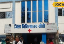 बच्चों के पेट से कीड़े हटाने का देसी तरीका, पलाश-शहद की जोड़ी करेगी कमाल, नहीं पड़ेगी डॉक्टर की जरूरत – Madhya Pradesh News