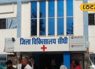 बच्चों के पेट से कीड़े हटाने का देसी तरीका, पलाश-शहद की जोड़ी करेगी कमाल, नहीं पड़ेगी डॉक्टर की जरूरत – Madhya Pradesh News