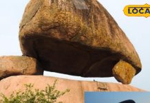 Mushroom Rock Hyderabad – Natural Wonder in University Campus