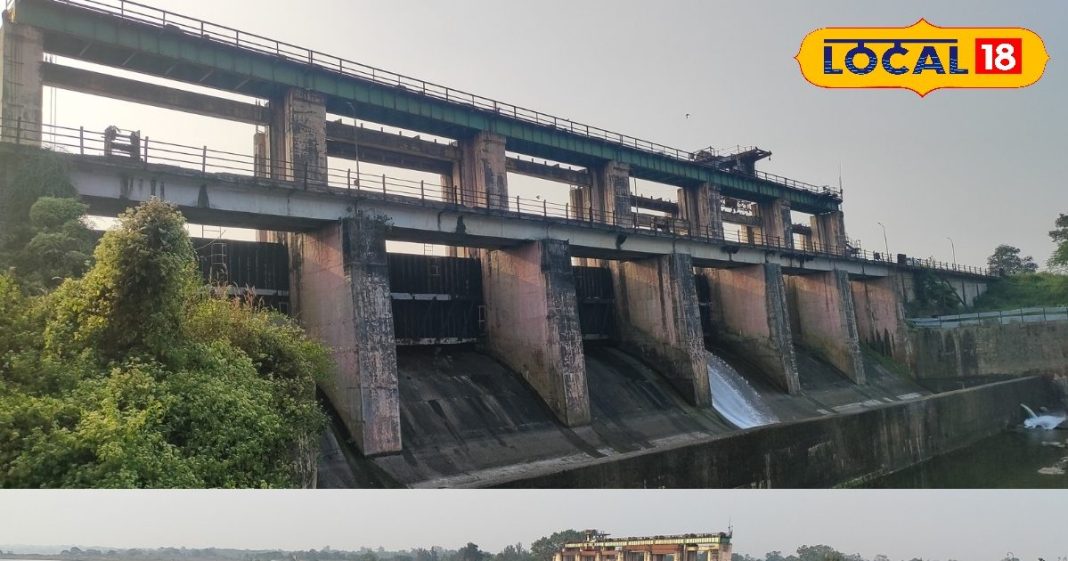 बोकारो में खास है यह पिकनिक स्पॉट! पानी और हरियाली के बीच, शहर से नजदीक, यादगार होगा नया साल – Jharkhand News