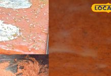 | Winter Dishes Recipe |