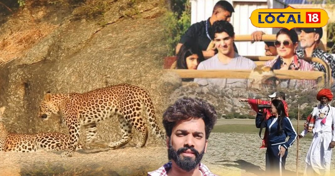 पाली से जवाई बांध पहुंचें: सफारी और दर्शनीय स्थल जानकारी