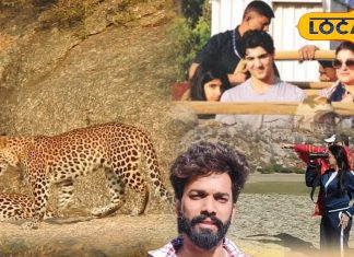 पाली से जवाई बांध पहुंचें: सफारी और दर्शनीय स्थल जानकारी