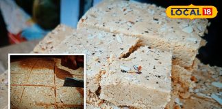 करौली की शुगर फ्री गजक: जानें प्रसिद्धि, कीमत और सीक्रेट रेसिपी