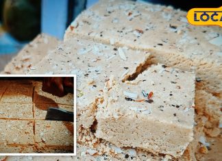 करौली की शुगर फ्री गजक: जानें प्रसिद्धि, कीमत और सीक्रेट रेसिपी