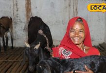 बच्चों के लिए सुपरफूड, बकरी के दूध में है वो ताकत जो गाय-भैंस के दूध में नहीं, डॉक्टर से जानिए फायदे – Madhya Pradesh News