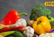 ठंड में शरीर को अंदर से मजबूत करने का मौका! डाइट एक्सपर्ट ने बताया… विटामिन और मिनरल कैसे पाएं