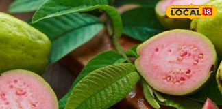 सर्दियों में इम्यूनिटी, पाचन, दिल और स्किन चारों का ख्याल रखे एक ही फल!जानें अमरूद खाने के गजब के फायदे – Madhya Pradesh News