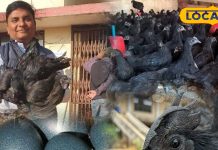 कम फैट, हाई प्रोटीन… काले मांस में छुपा सेहत का खजाना, कड़कनाथ मुर्गा के फायदे जान हो जाएंगे हैरान