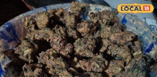 नाश्ते में बनाएं छतरपुर की फेमस मूंग दाल मंगोड़ी, खाते ही मुंह से निकलेगी तारीफ, सिंपल है रेसिपी