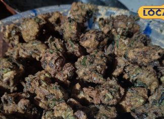 नाश्ते में बनाएं छतरपुर की फेमस मूंग दाल मंगोड़ी, खाते ही मुंह से निकलेगी तारीफ, सिंपल है रेसिपी