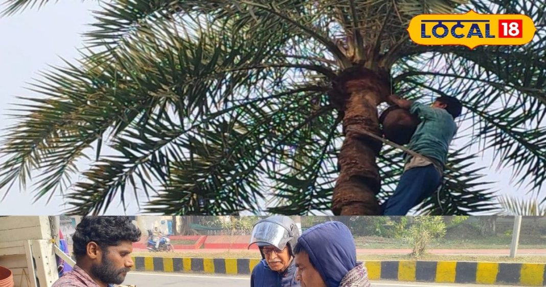 बोकारो में तमिलनाडु के ताड़ गुड़ का धमाल, रोजाना 50 से 60 किलो हो रही बिक्री – Jharkhand News