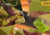 Palak vade ki sabji – Jharkhand News