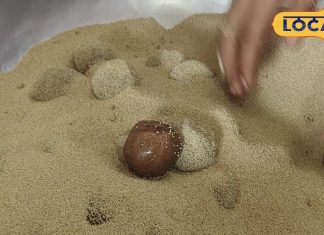 Chaman Lal ras kadam purity made sweets famous in Samastipur and globally