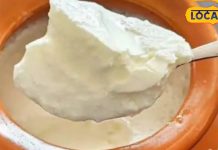 जान गए दही खाने का सही समय और तरीका, सर्दियों में भी मिलेगा भरपूर फायदा, पूर्णिया की डाइटिशियन ने बताया