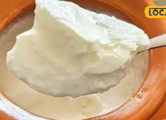 जान गए दही खाने का सही समय और तरीका, सर्दियों में भी मिलेगा भरपूर फायदा, पूर्णिया की डाइटिशियन ने बताया