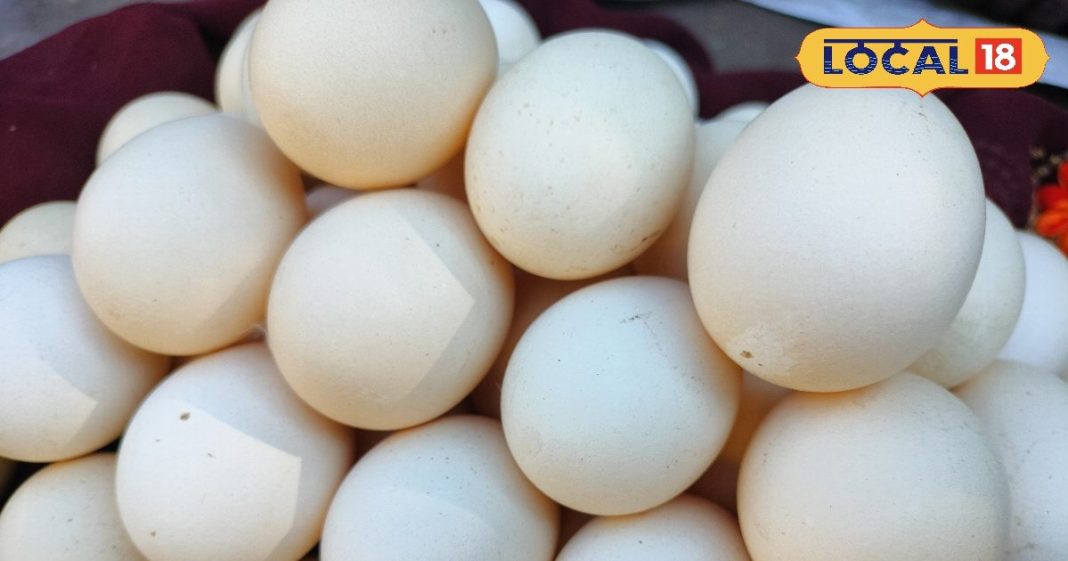 ठंड में बढ़ी देसी अंडों की डिमांड, कैसे करें असली-नकली की पहचान? जानें खाने के फायदे और सेवन का तरीका