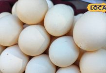 ठंड में बढ़ी देसी अंडों की डिमांड, कैसे करें असली-नकली की पहचान? जानें खाने के फायदे और सेवन का तरीका