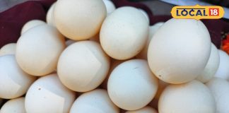 ठंड में बढ़ी देसी अंडों की डिमांड, कैसे करें असली-नकली की पहचान? जानें खाने के फायदे और सेवन का तरीका