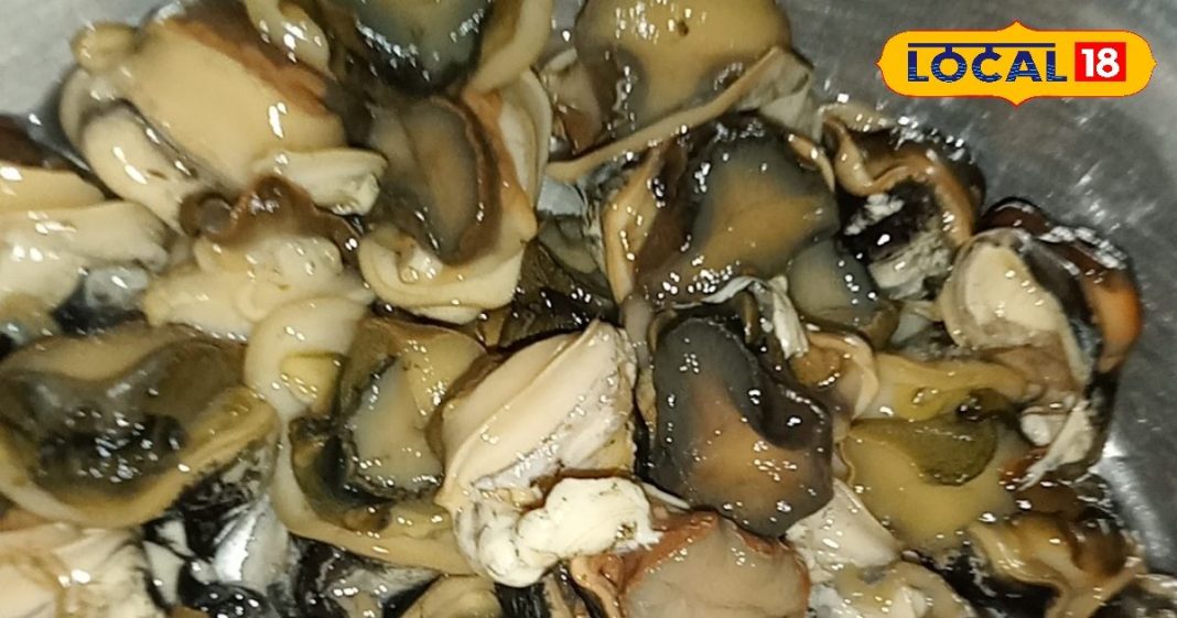 घोंघे की सब्जी… एक बार चख ली तो भूल जाएंगे चिकन-मटन, मिथिलांचल में चाव से खाते लोग, घर पर बनाना आसान – Bihar News