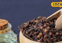 दांत का तेज दर्द? रसोई की ये छोटी सी चीज मिनटों में कर देगी आराम, जानें कैसे करें इस्तेमाल – Uttarakhand News