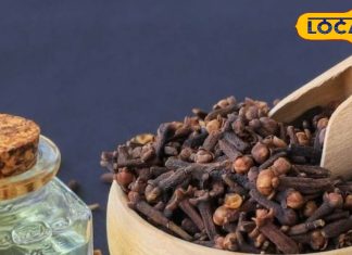 दांत का तेज दर्द? रसोई की ये छोटी सी चीज मिनटों में कर देगी आराम, जानें कैसे करें इस्तेमाल – Uttarakhand News