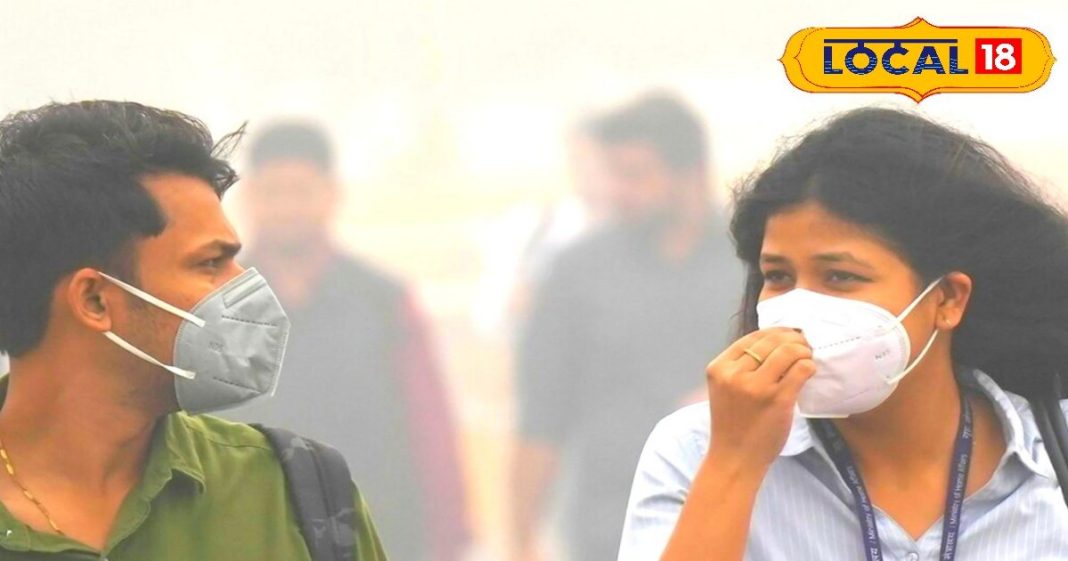 Natural food item for lungs in winter season pollution