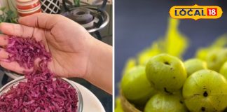 स्वाद में लाजवाब, सेहत के लिए जबरदस्त! आंवला-चुकंदर मुखवास के फायदे जान हो जाएंगे हैरान, नोट कर लें रेसिपी