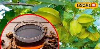 हर्बल टी का बाप है ये चाय, पीते ही बूस्ट होती एनर्जी, हार्ट अटैक में भी बनती शील्ड, जानें अनगिनत फायदे – Madhya Pradesh News