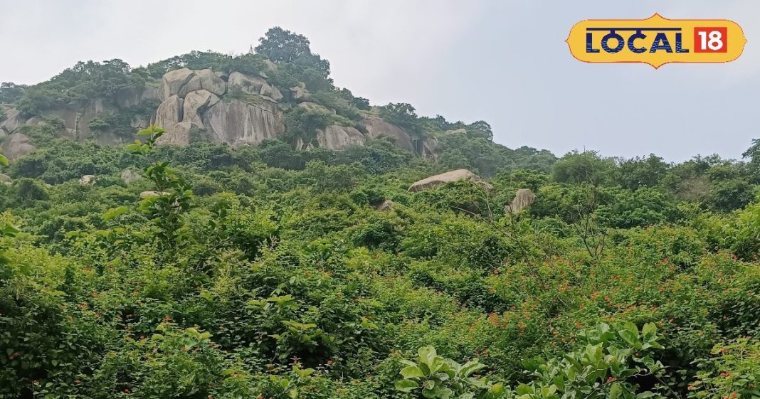 जहानाबाद में पिकनिक के लिए ये लोकेशन हैं खास, फोटो देख झटपट बना लेंगे प्लान, भूल जाएंगे शिमला-मनाली!