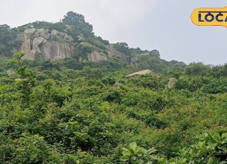 जहानाबाद में पिकनिक के लिए ये लोकेशन हैं खास, फोटो देख झटपट बना लेंगे प्लान, भूल जाएंगे शिमला-मनाली!