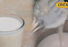 गेहूं दलिया छाछ के फायदे . देसी एनर्जी ड्रिंक रेसिपी. Gehun Daliya Aur Chhachh Benefits . Desi Energy Drink For Stamina