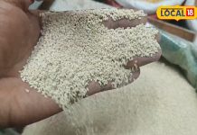 सफेद दानों वाला ये सुपरफूड, कर देगा झट से ठंड गायब! हार्ट, बीपी, शुगर में भी कारगर – Uttar Pradesh News